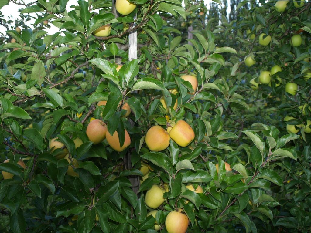 הוילה Heers De Joelenberg מראה חיצוני תמונה